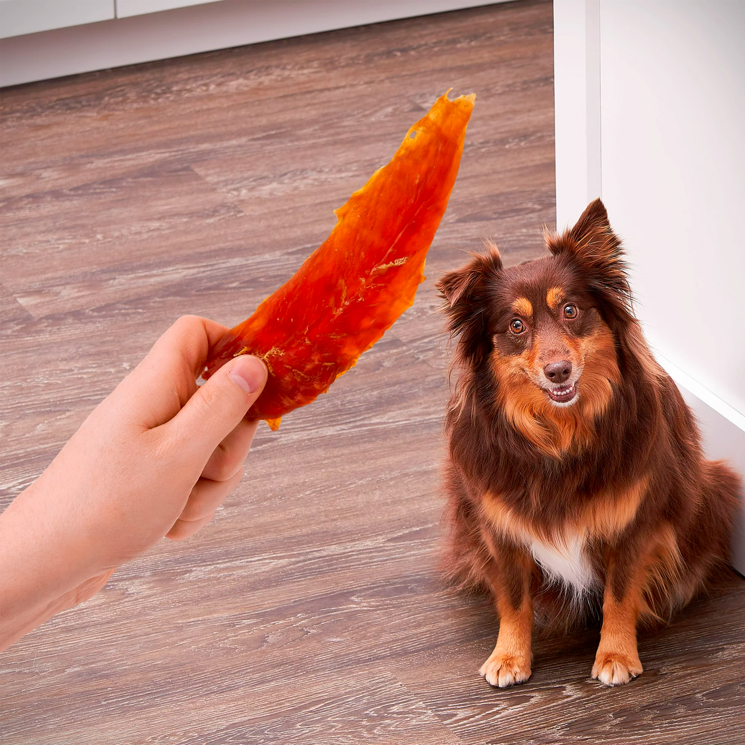 Golden Rewards Chicken Flavor Premium Dry Jerky Treats for All Dogs, 64 oz - الصورة 2