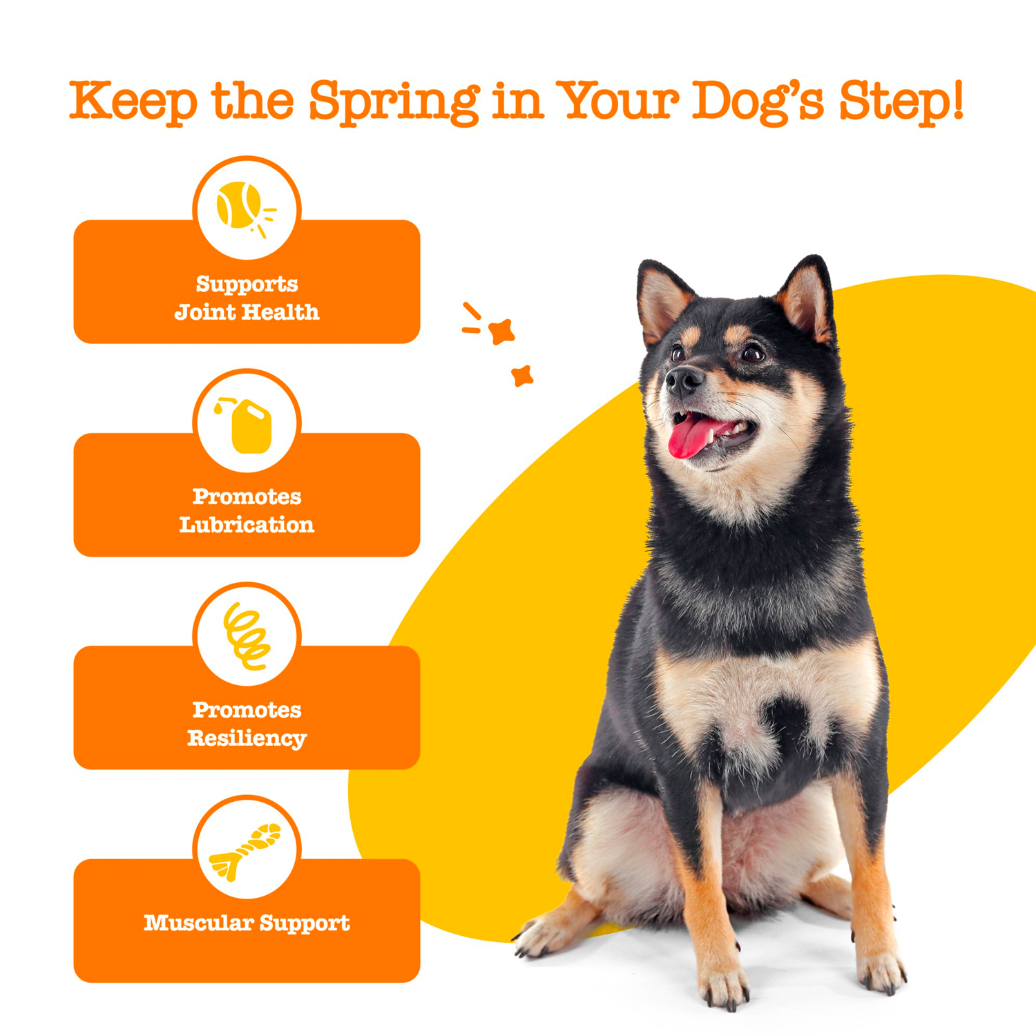 Hip & Joint Mobility Bites Soft Chews for Dogs, With Glucosamine + Chondroitin & MSM, Functional Dog Supplement - الصورة 2