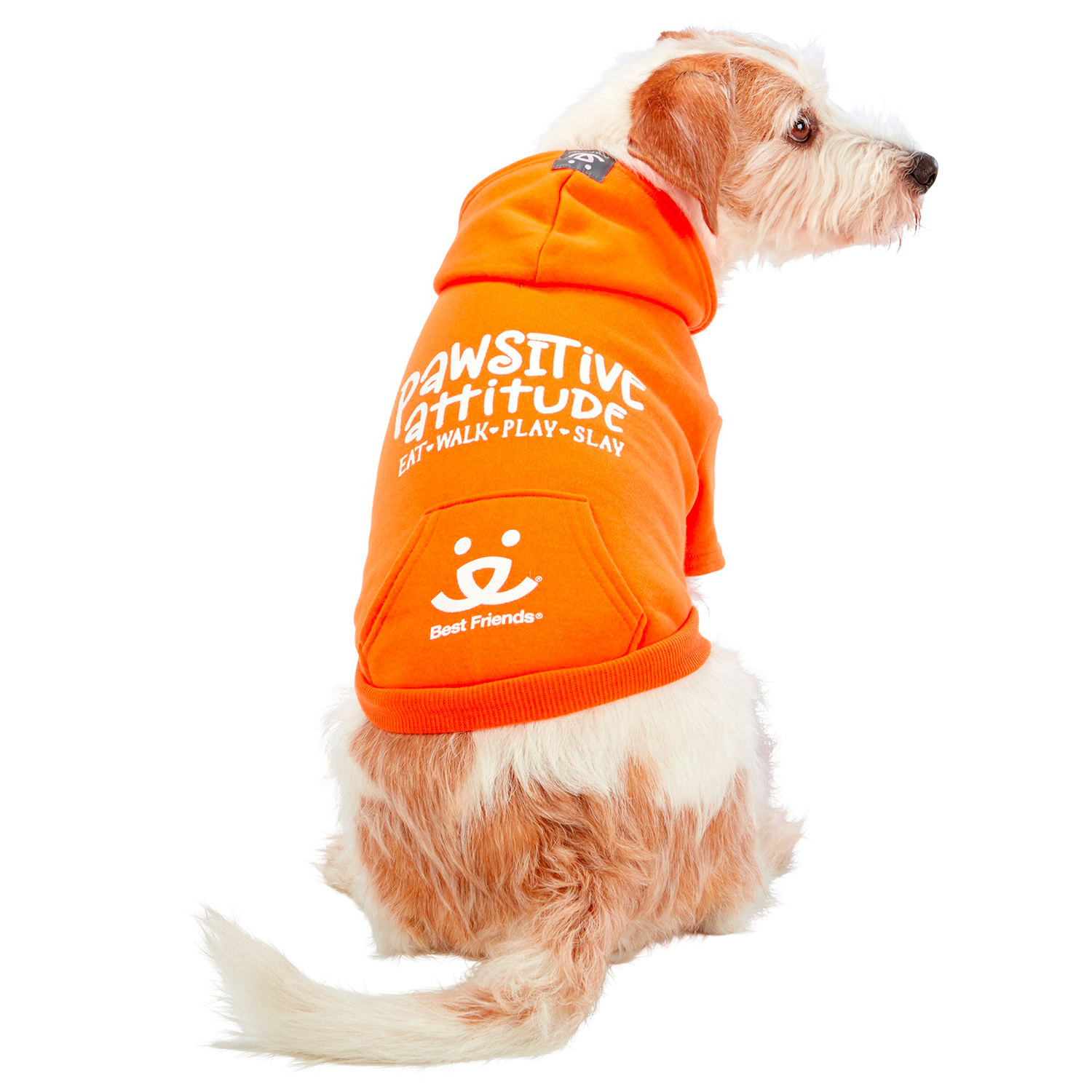 Best Friends Pawsitive Attitude Dog Hoodie - Orange, Small - الصورة 3