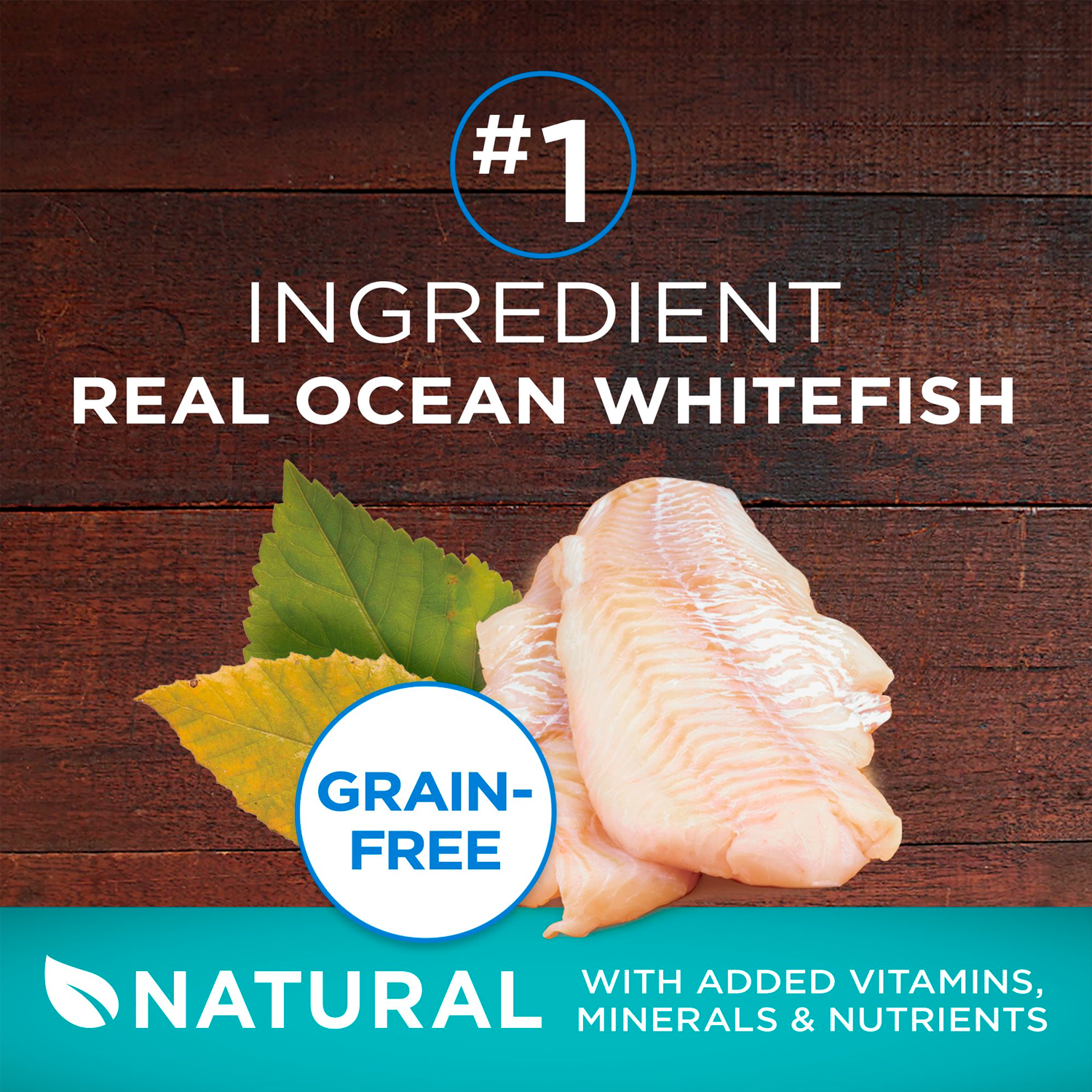 Purina One True Instinct Dry Cat Food Ocean Whitefish, Grain-Free, 3.2 lb Bag - الصورة 3