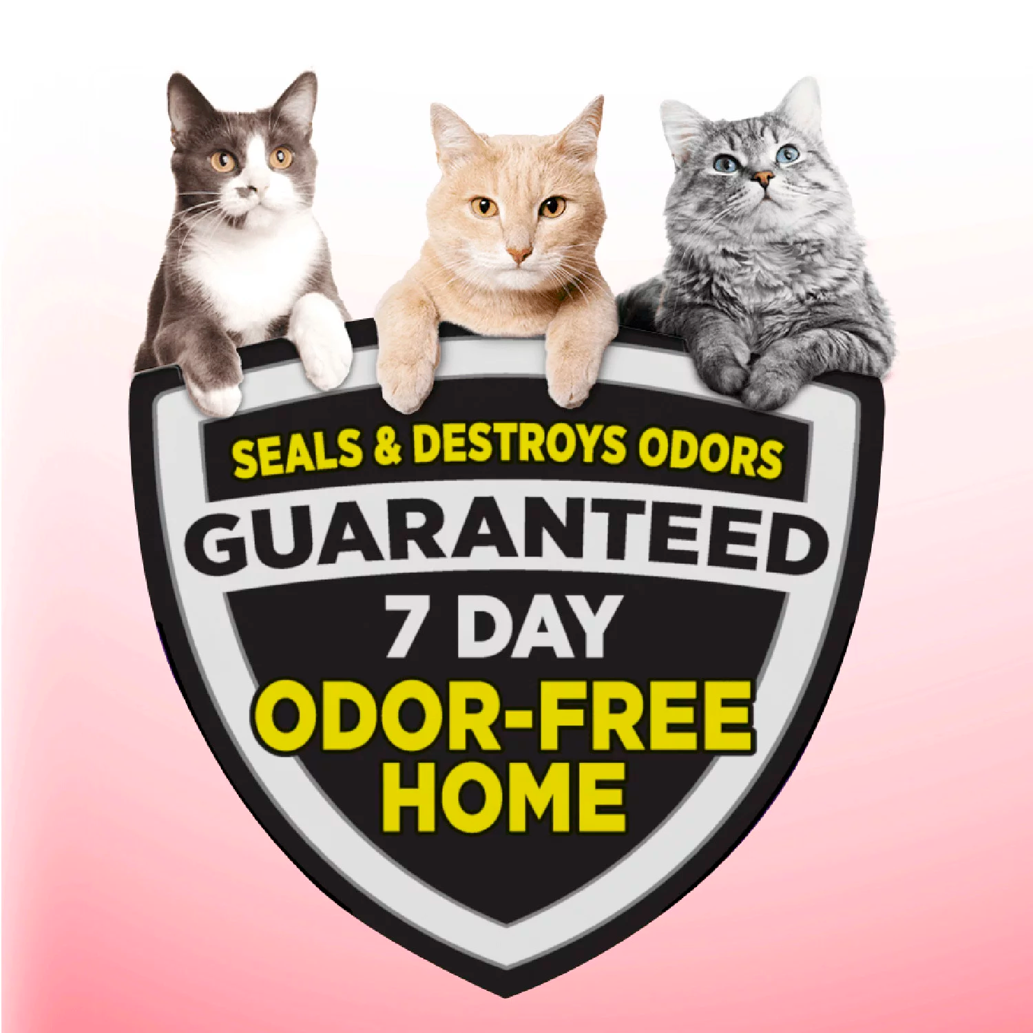 Arm & Hammer Clump & Seal Multi-Cat Complete Odor Sealing Clumping Cat Litter, 38lb - الصورة 3