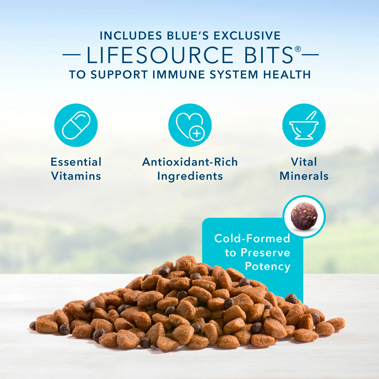 Blue Buffalo Life Protection Formula Chicken and Brown Rice Dry Dog Food for Senior Dogs, Whole Grain, 5 lb. Bag - الصورة 4