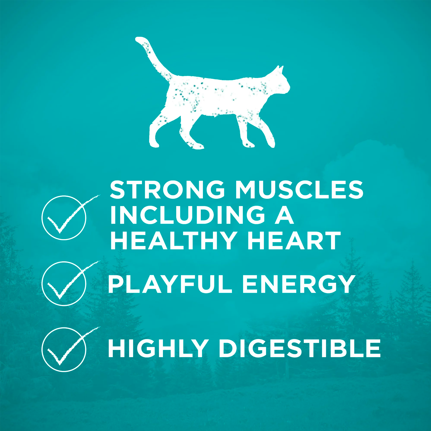 Purina One True Instinct Dry Cat Food Ocean Whitefish, Grain-Free, 3.2 lb Bag - الصورة 4