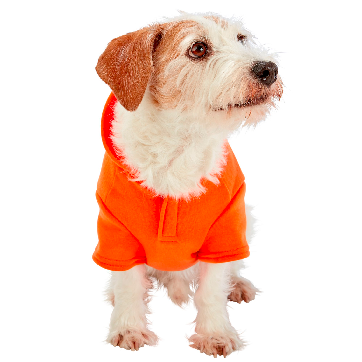 Best Friends Pawsitive Attitude Dog Hoodie - Orange, Small - الصورة 4