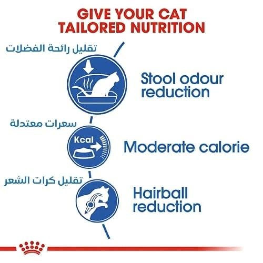رويال كانين اندور اكل قطط +7 - Image 3