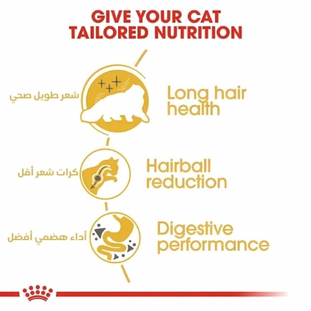 رويال كانين بيرشن طعام قطط فارسية Royal Canin Persian - Image 2