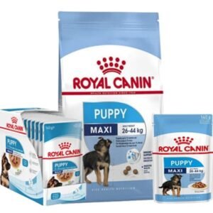 رويال كانين بوبي ماكس Puppy Maxi