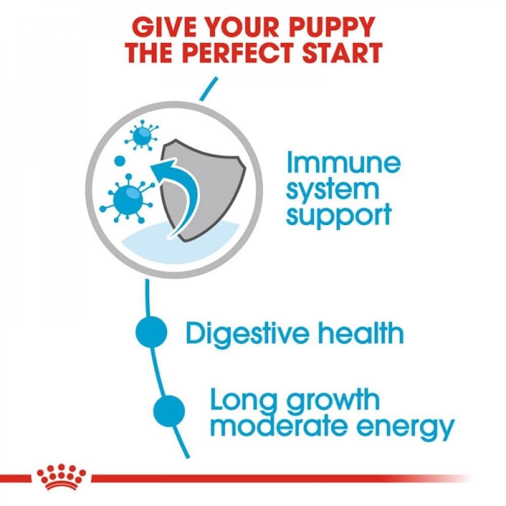رويال كانين بوبي ماكس Puppy Maxi - Image 6