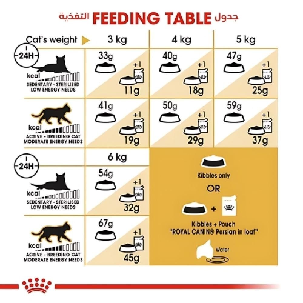 رويال كانين بيرشن طعام قطط فارسية Royal Canin Persian - Image 3