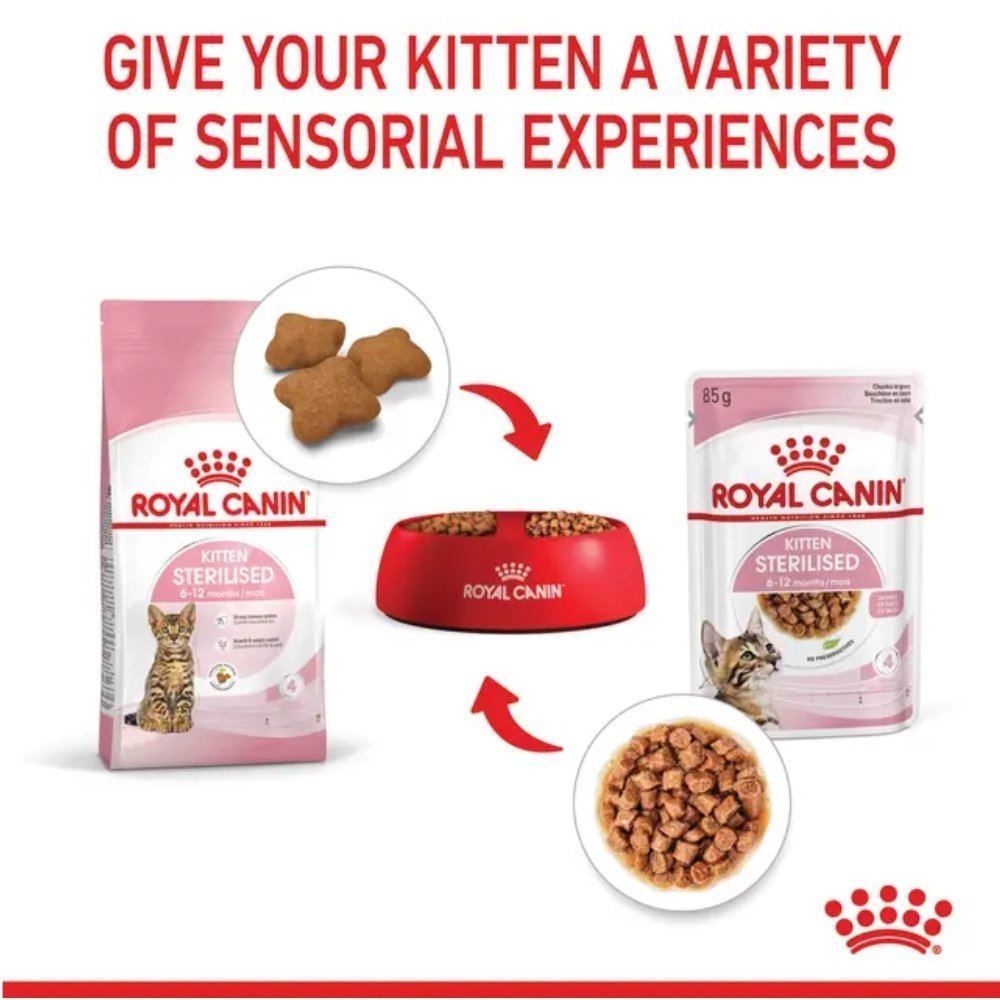 رويال كانين طعام القطط الصغيرة المعقمة رطب | Sterilised Kittens رويال كانين طعام القطط الصغيرة المعقمة رطب | Sterilised Kittens - الصورة 4